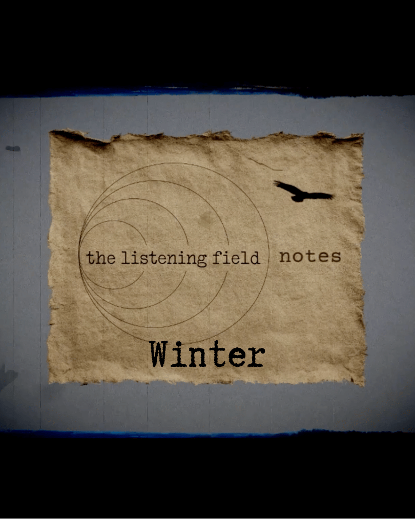The Winter field notes