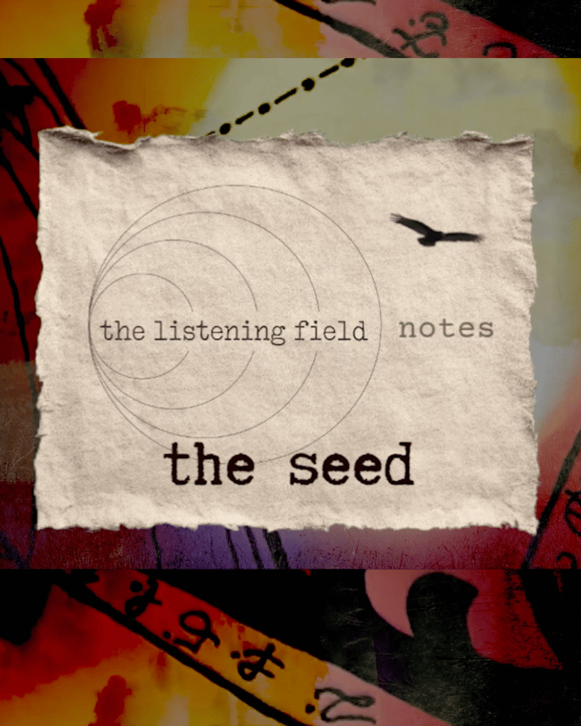 The seed story image